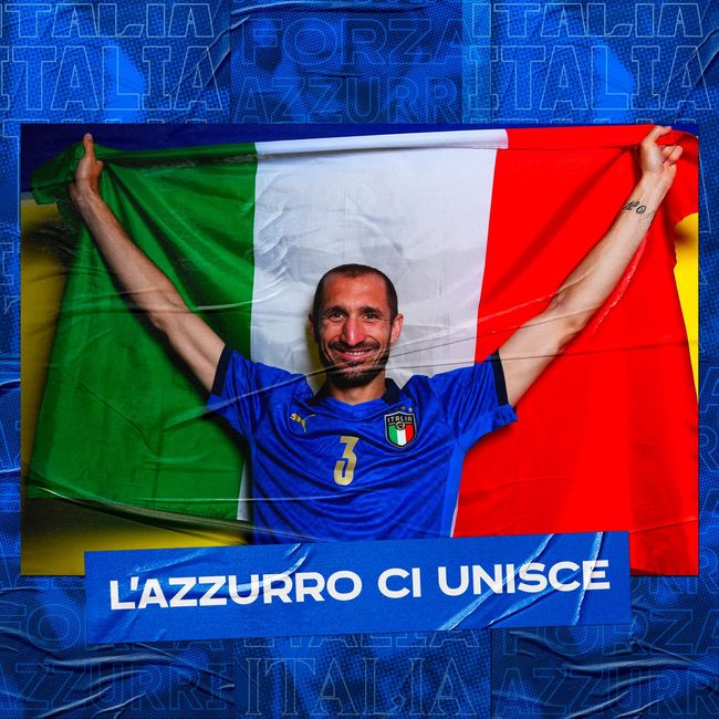 不仅可以欣 不仅可以欣