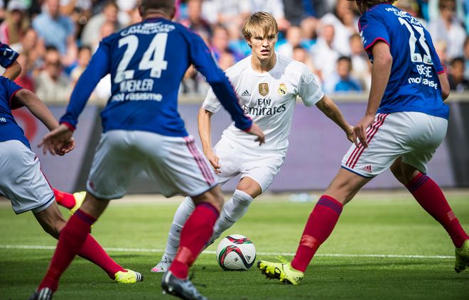 均展示了马 均展示了马