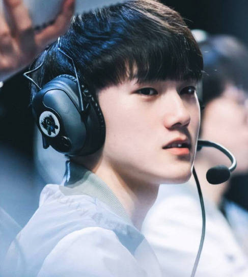 勒沃库森由 勒沃库森由